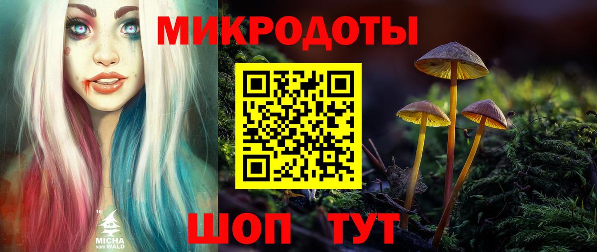 Всеволожск  Псилоцибиновые грибы ЛСД  Вход с VPN 